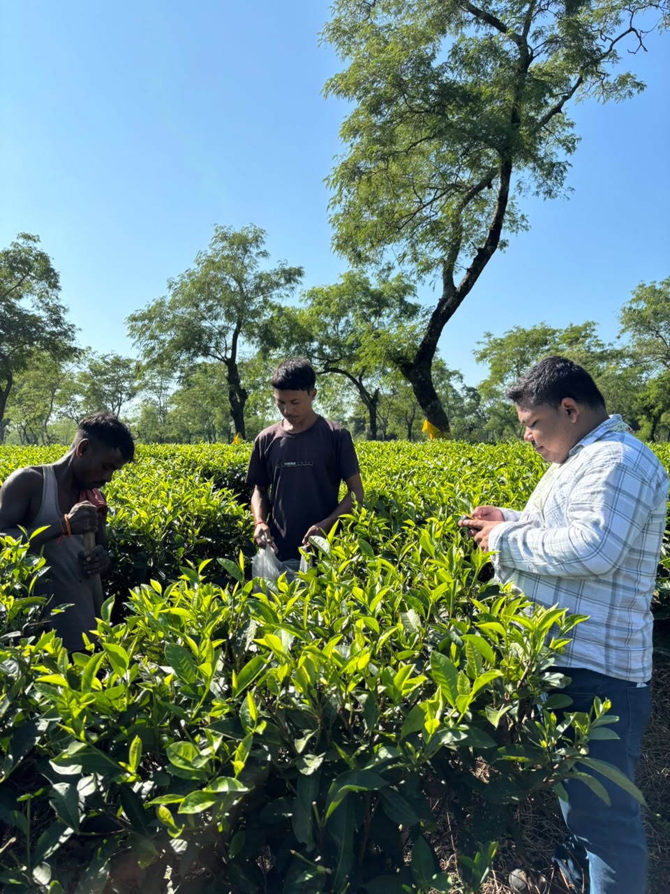What if the future of agriculture isn’t about adding more inputs—but making better decisions?